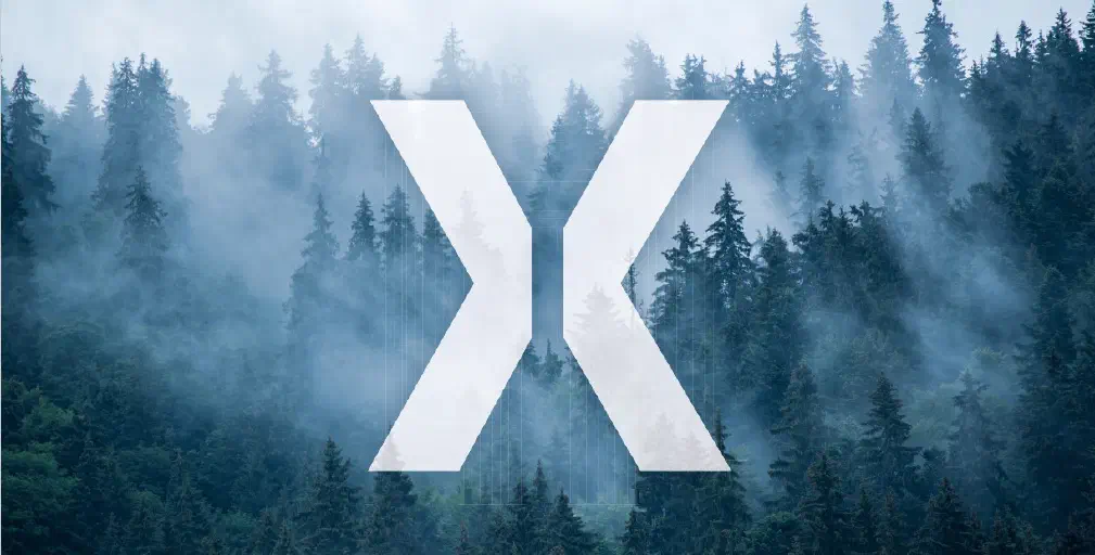 Banner TalX
