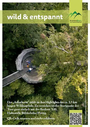 NLPR Plakat
